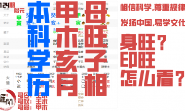 本科学历的女生，甲木亥月，母旺子相，寒冬十月最喜地支未来暖局缩略图